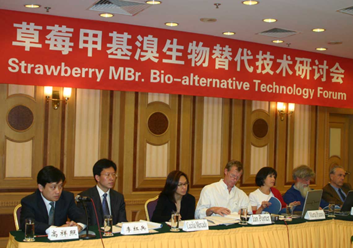 聯(lián)合國環(huán)境署、聯(lián)合國工發(fā)組織等機構出席了我公司舉行的草莓甲基溴生物替代技術(shù)研討會(huì )